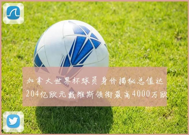 加拿大世界杯球员身价揭秘总值达204亿欧元戴维斯领衔最高4000万欧